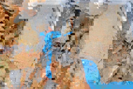 water pipes run through a hole