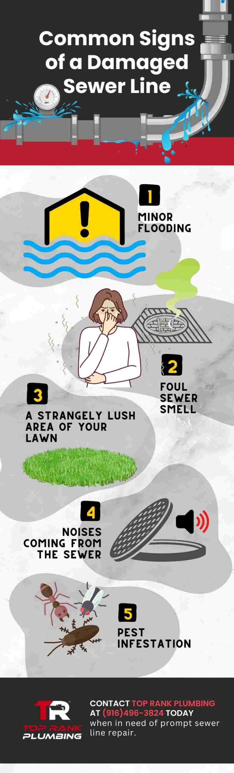 Common Signs of a Damage Sewer Line Common Signs of a Damage Sewer Line