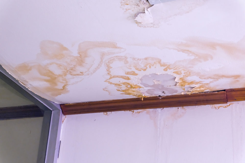 a slab leak with water damage